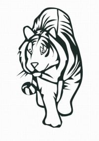 The tiger walks gently Coloring Page
