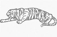 Tiger is hunting behind the bushes Coloring Pages