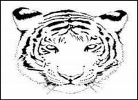 Scary face of tiger Coloring Page