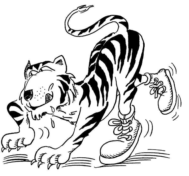 Тигр бегает в своих кроссовках от Tiger.