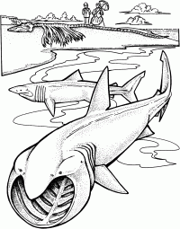 Раскраска Две гигантские акулы возле пляжа