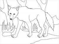 The wolf goes wandering in the woods Coloring Pages