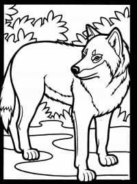 The wolf looks backwards in the forest Coloring Pages