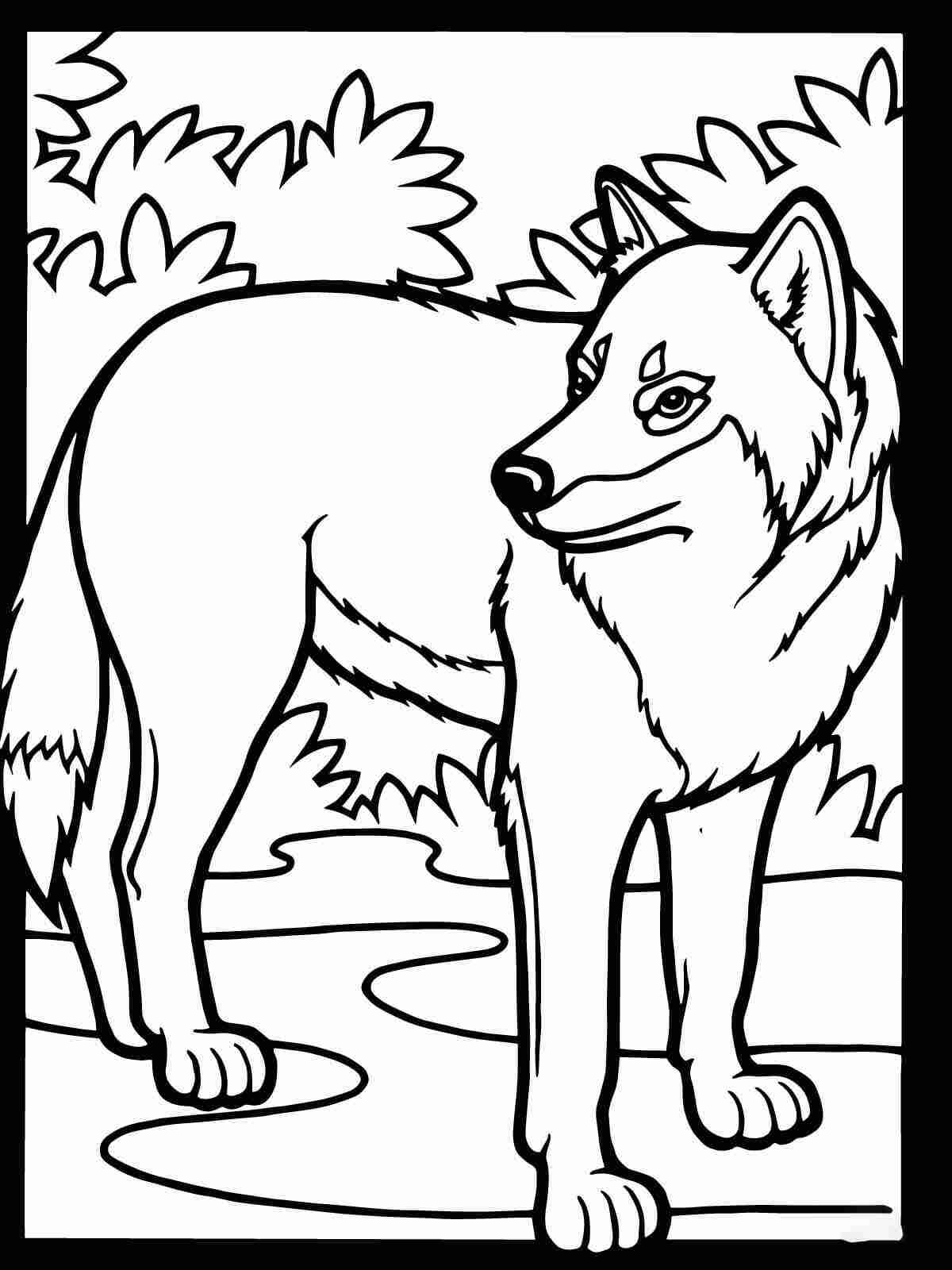 The wolf looks backwards in the forest Coloring Pages