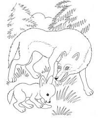 Wolf mother and wolf cub play together on the grass Coloring Pages