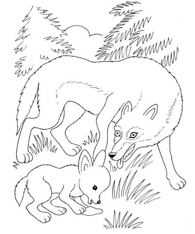 La madre lobo y su cachorro de lobo juegan juntos en la hierba de Wolf