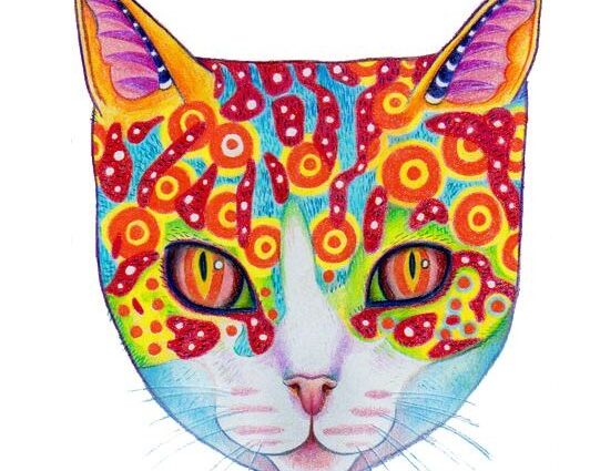 How to draw a colorful cat?