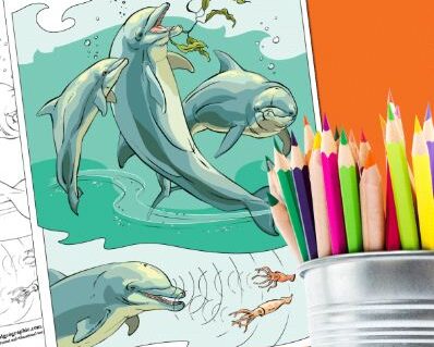 Animal coloring pages bring the colorful world to kids