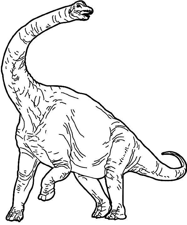 Página para colorir braquiossauro bravo