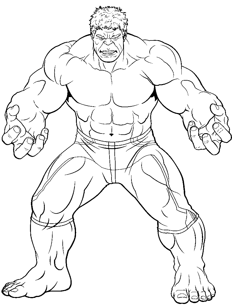 Avengers The Hulk from Avengers