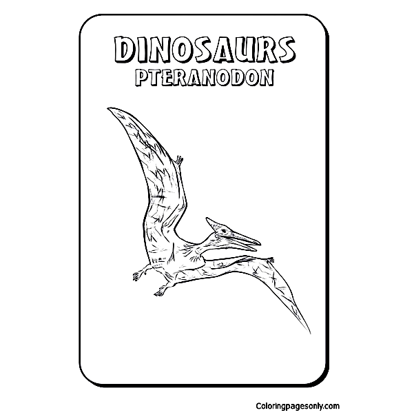 Dinosaurs Pteranodon Coloring Pages