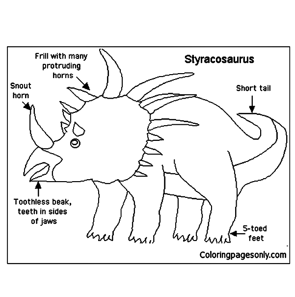 Information Sheets About Styracosaurus Dinosaurs Coloring Pages