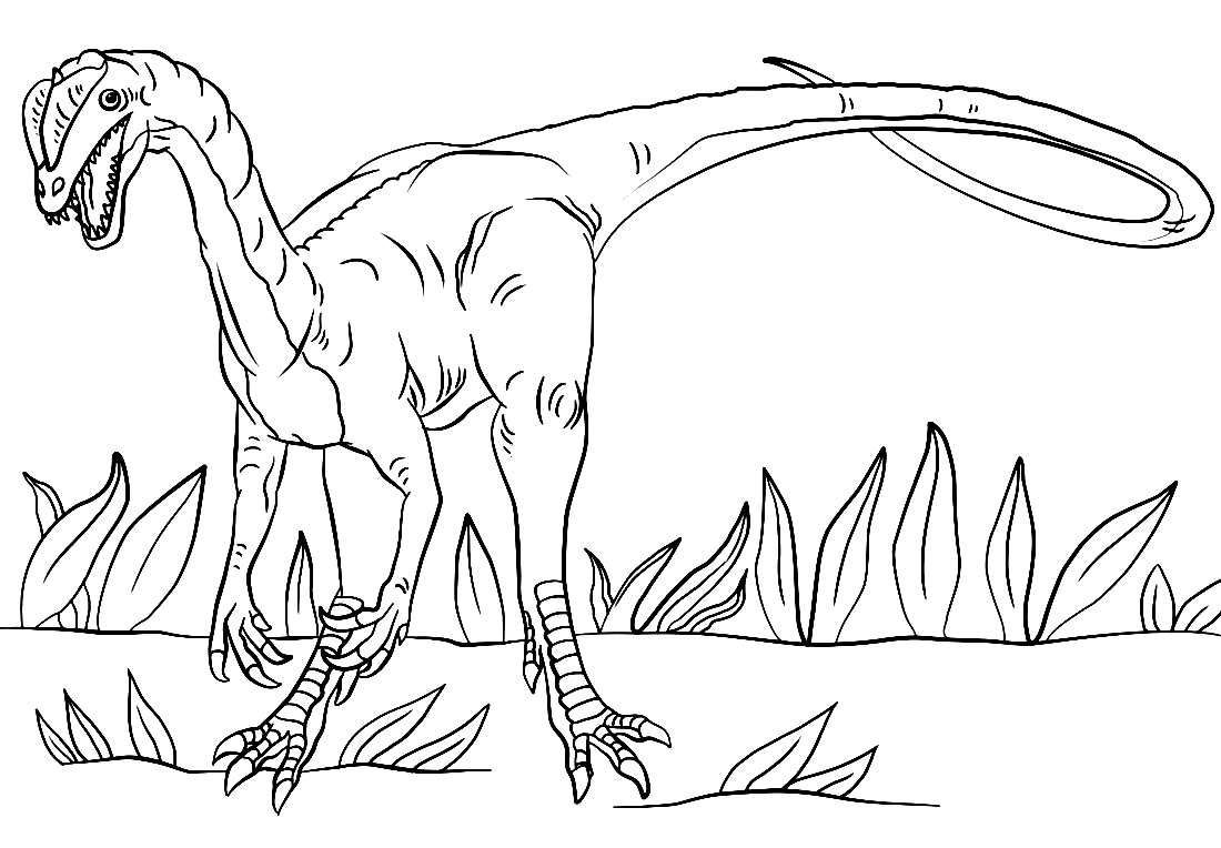 صفحة تلوين الحديقة الجوراسية Dilophosaurus