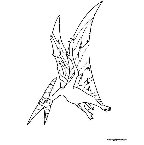 Pteranodon 1 Coloring Pages