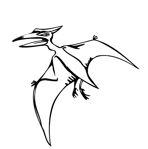 Pteranodon Flying Reptile Coloring Pages