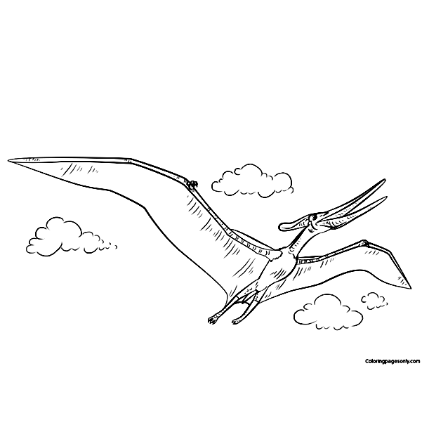 Pteranodon Flying Coloring Pages