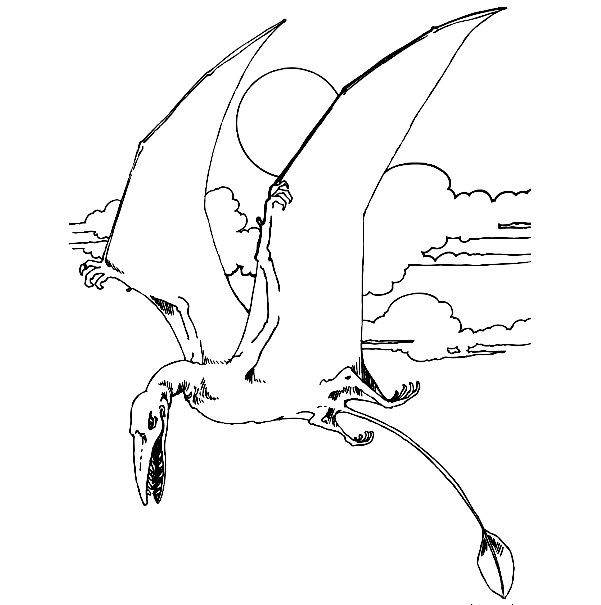 Rhamphorhynchus Jurassic Pterosaurs Coloring Page
