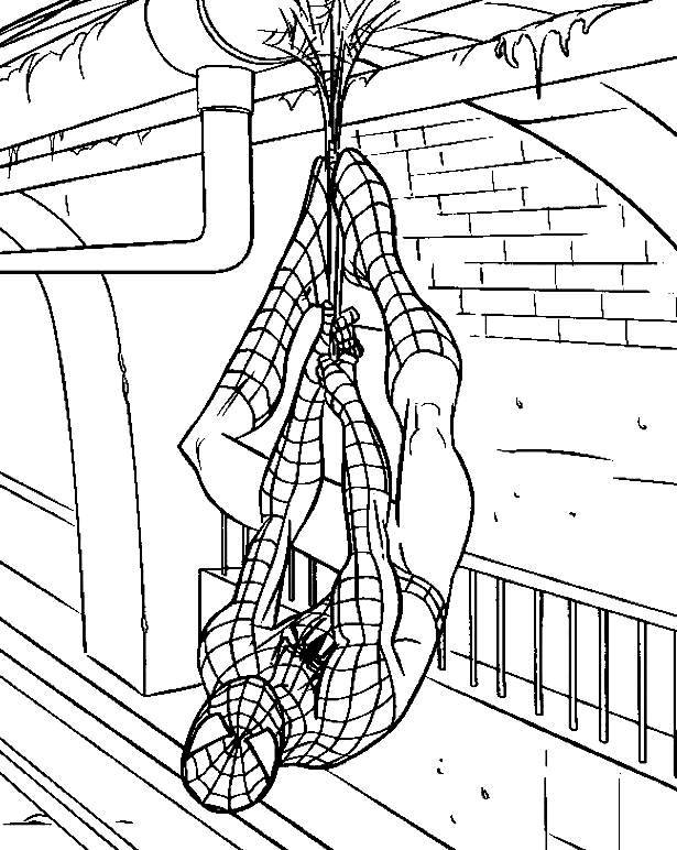 Ausmalbild Spiderman von der Decke hängen