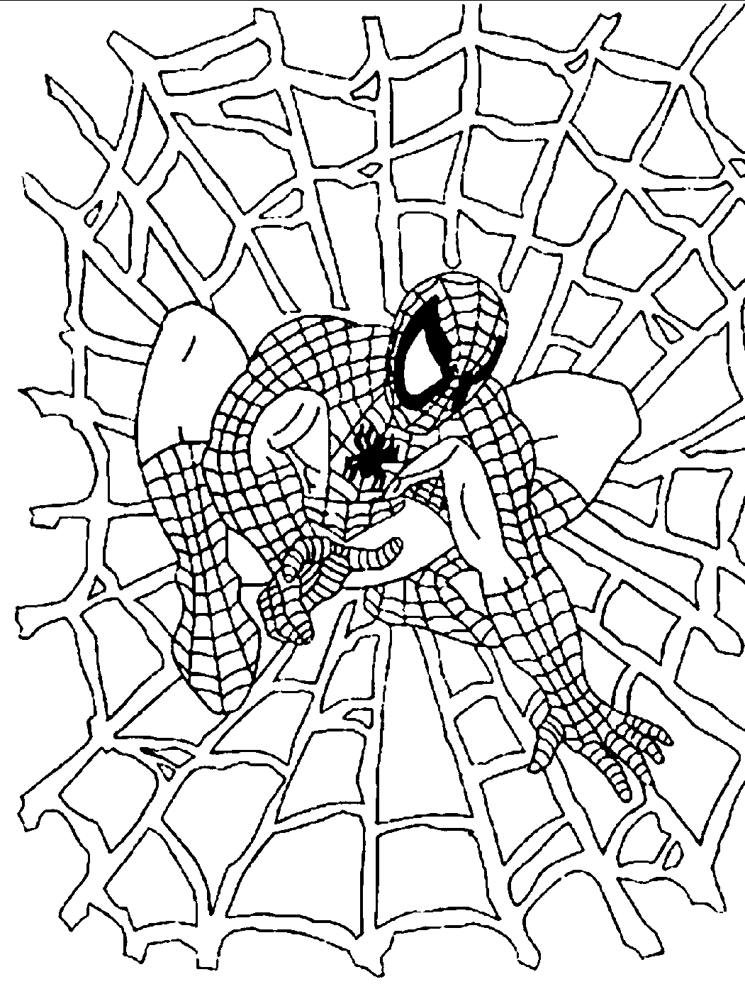 Dibujo de Spiderman de pie sobre tela de araña para colorear