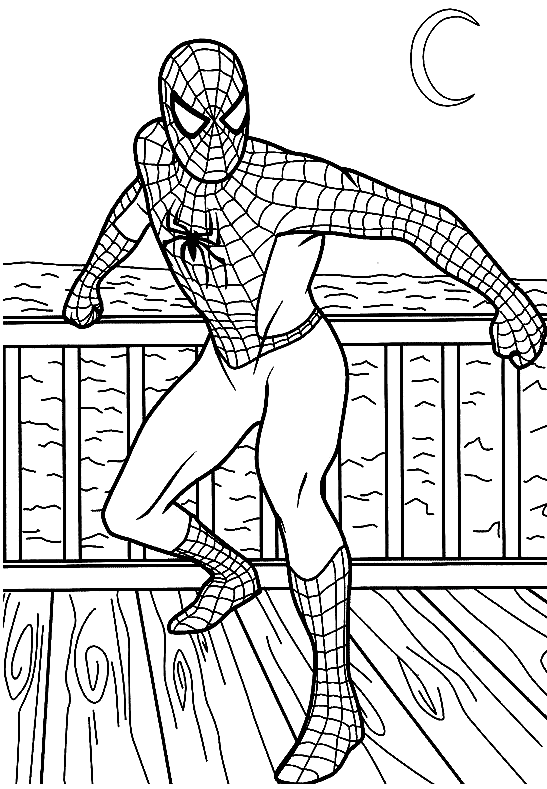 Spiderman stands on the bridge Coloring Page