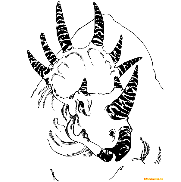 Styracosaurus Head Dinosaur Coloring Pages