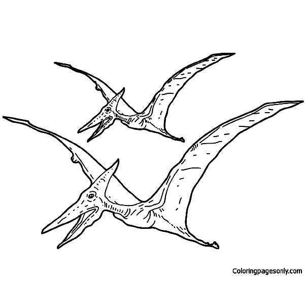 Tarbosaurus Pterosaur Coloring Pages