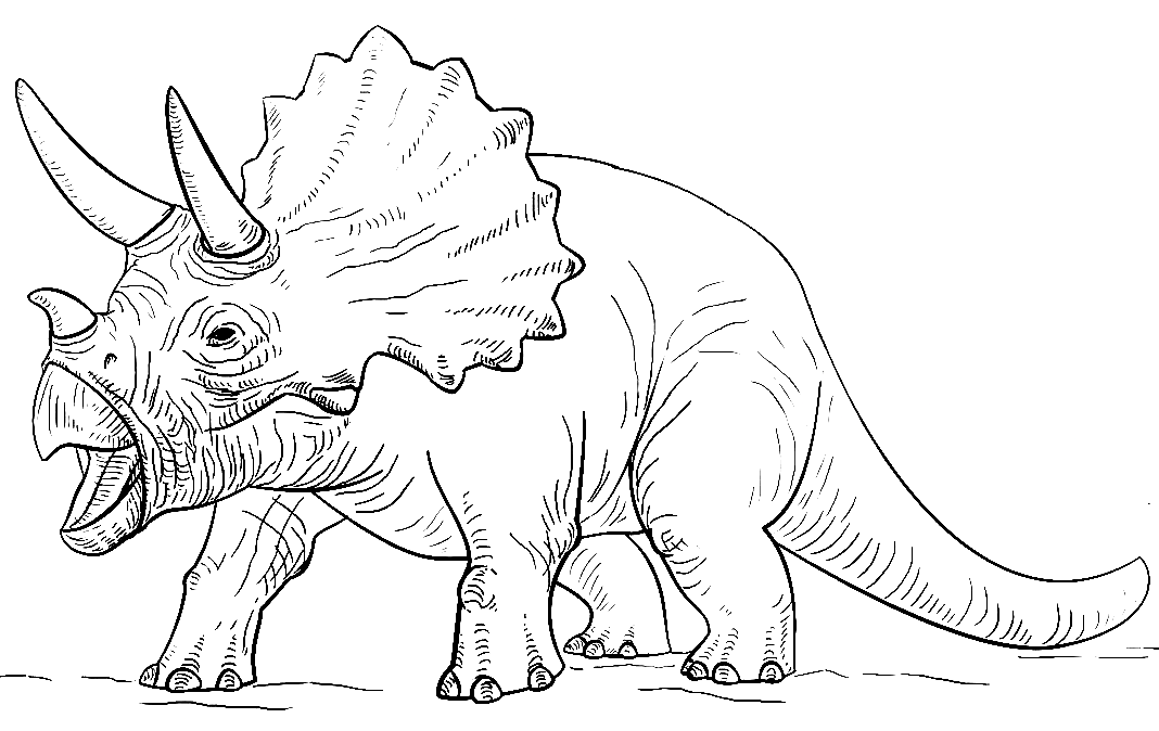 صفحة تلوين الديناصورات ترايسيراتوب