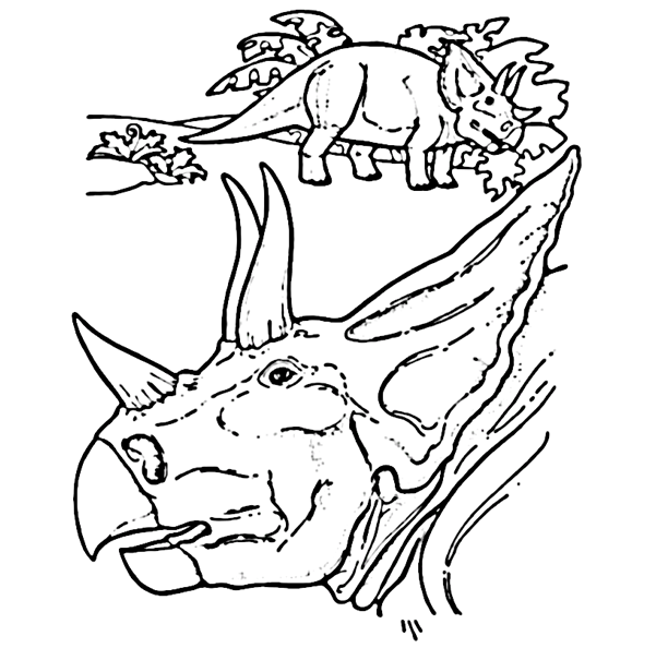 Triceratops Dinosaur 7 Coloring Pages