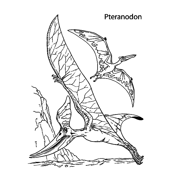 Two Pteranodons Dinosaurs Coloring Pages