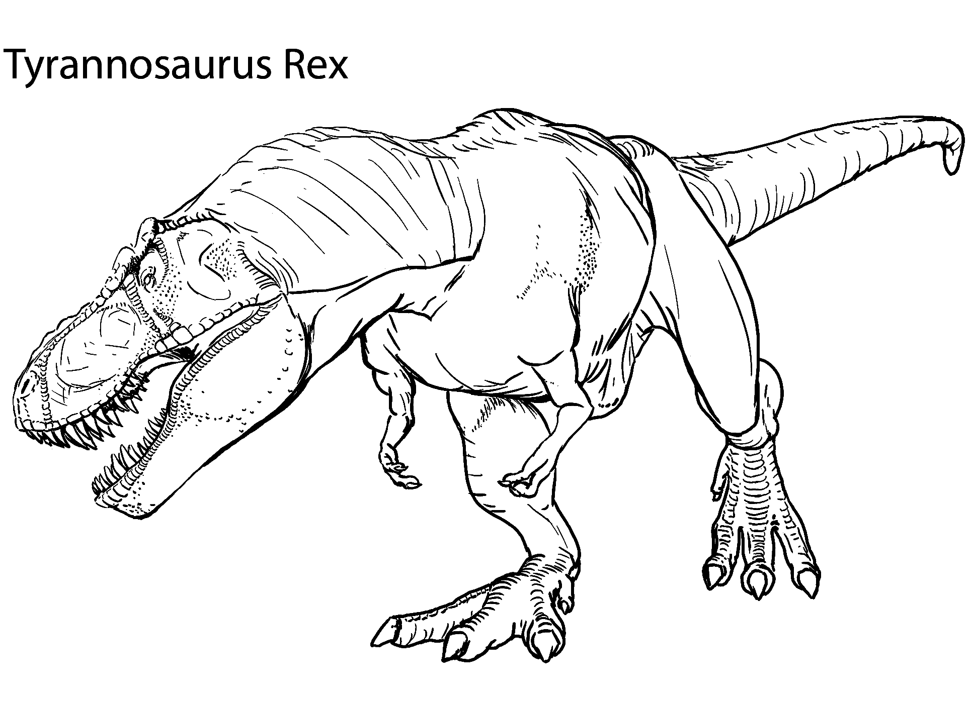 Tyrannosaurus Rex Kleurplaat