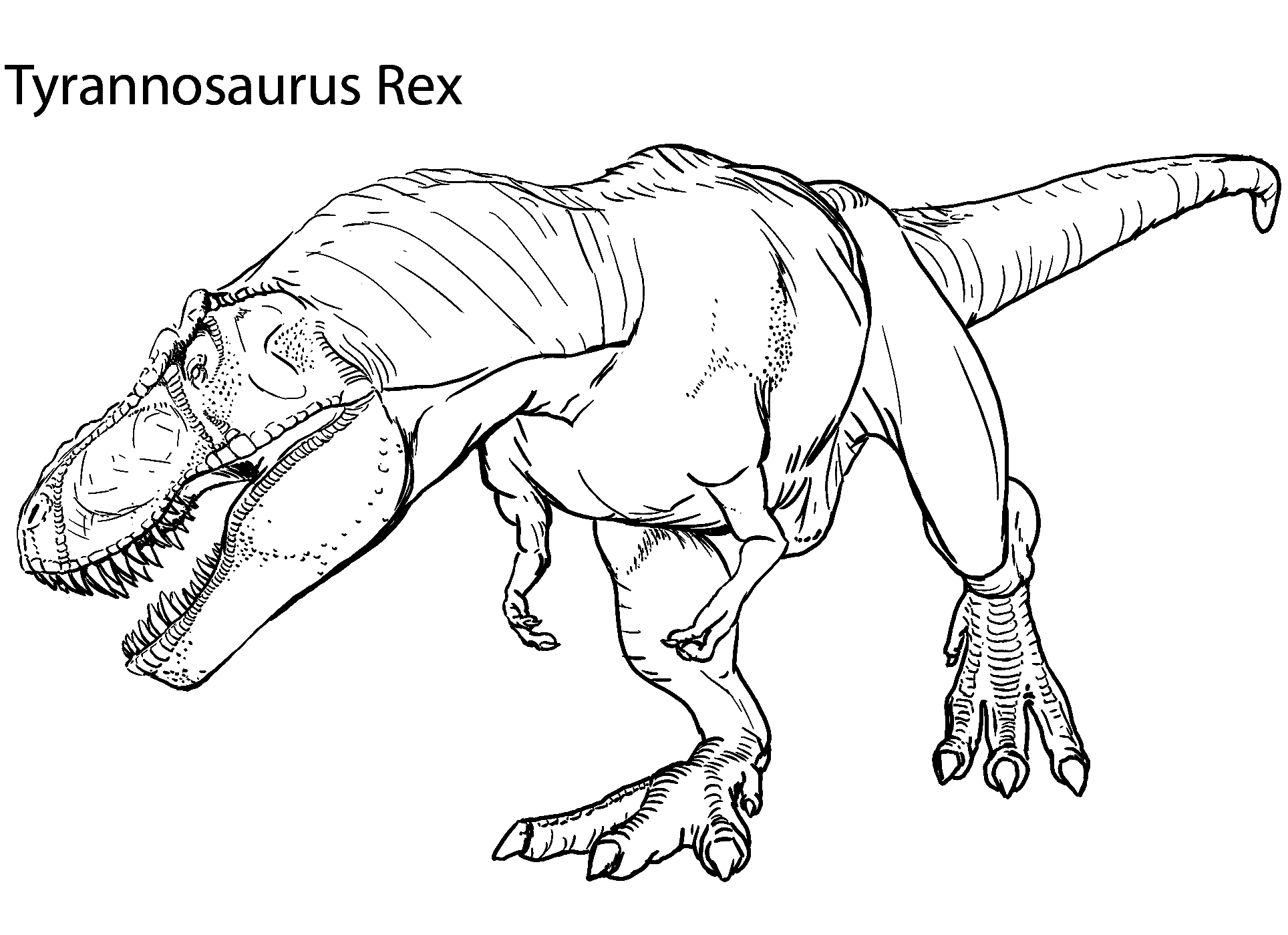 Tiranossauro rex páginas para colorir para crianças