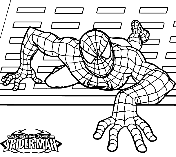 Ultieme Spiderman Kleurplaat