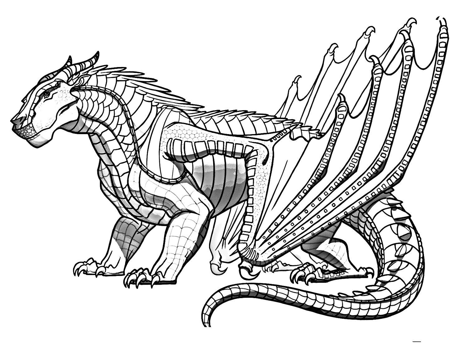 Awesome Mudwing Dragon Coloring Page