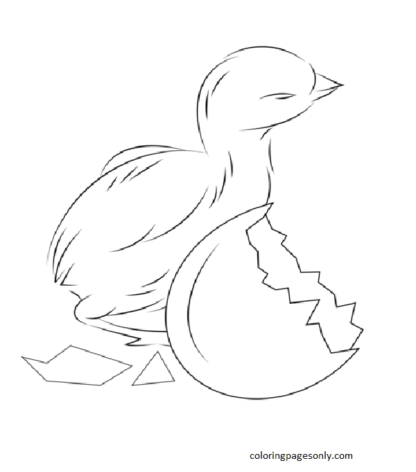 Baby Chick Hatching from Egg Coloring Page