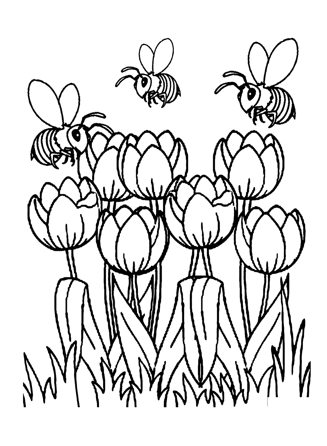 Beautiful Spring Tulip Coloring Pages