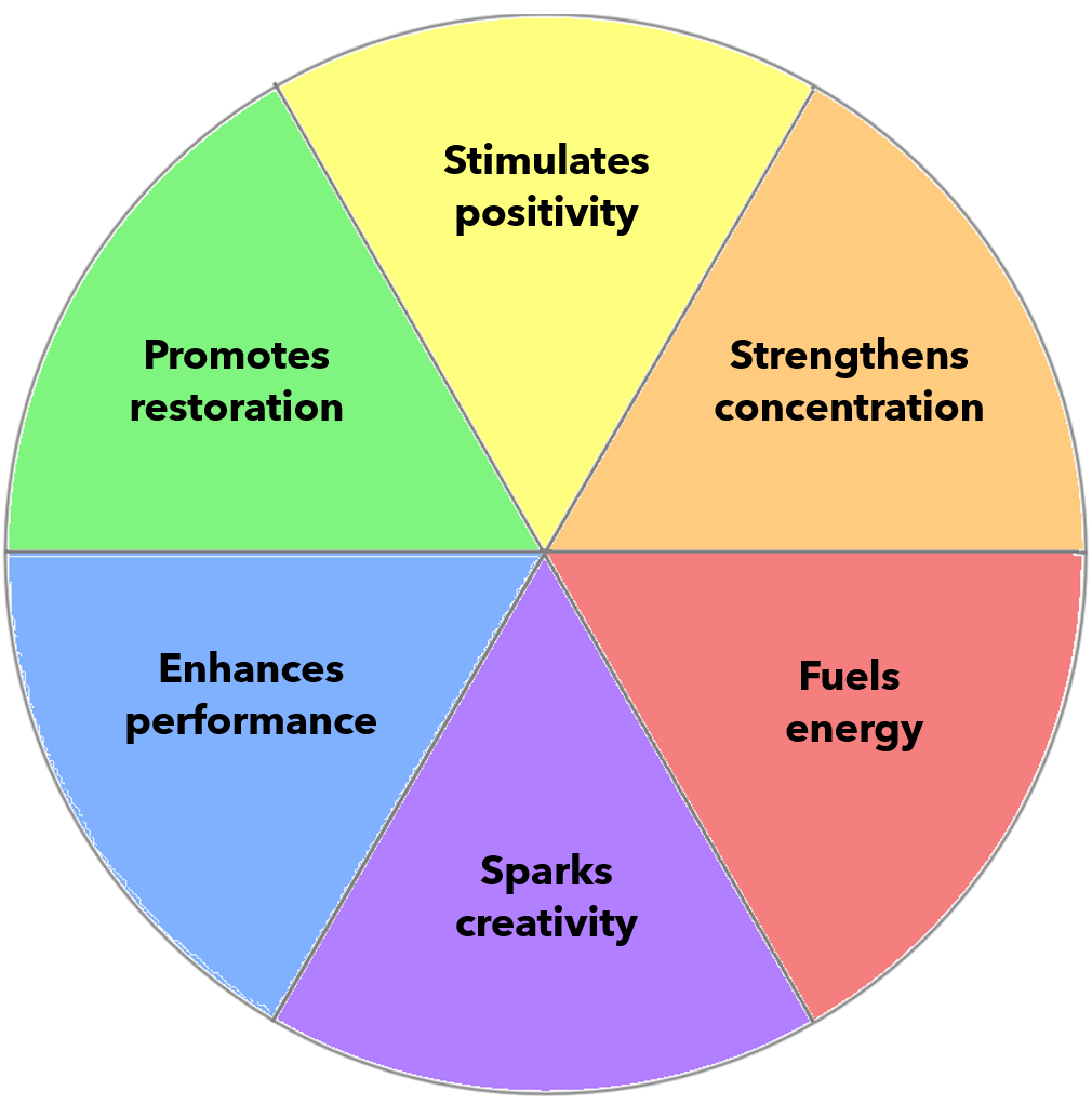 beneficios de colorear