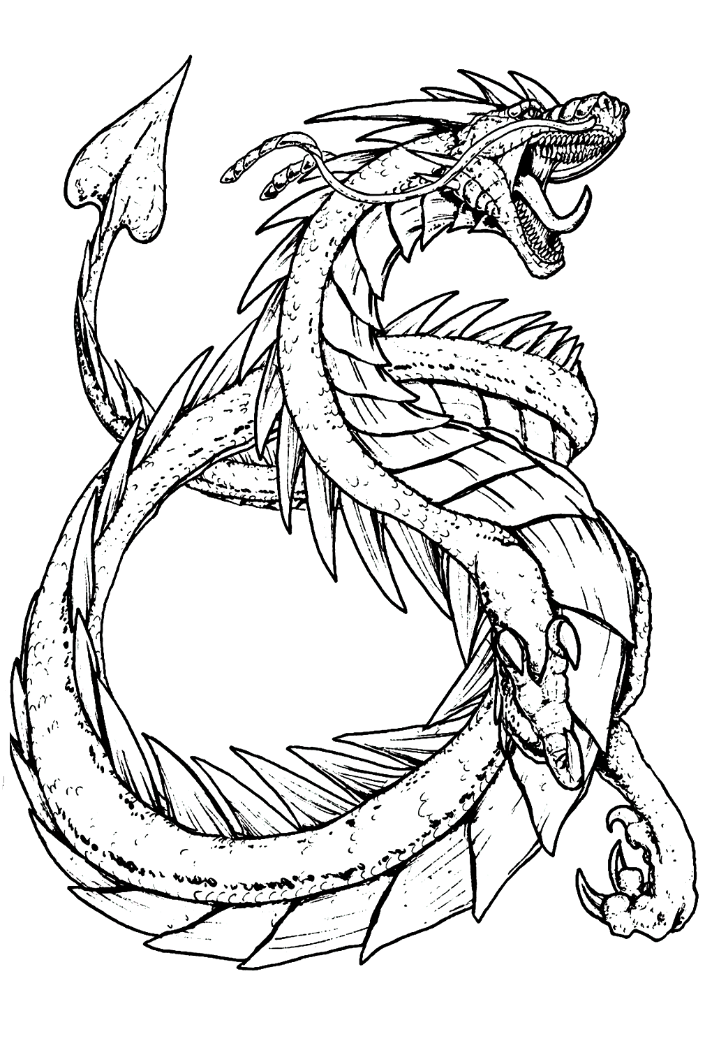 Best Dragons Coloring Pages