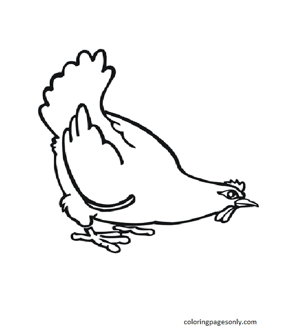 Big Fat Hen Coloring Page