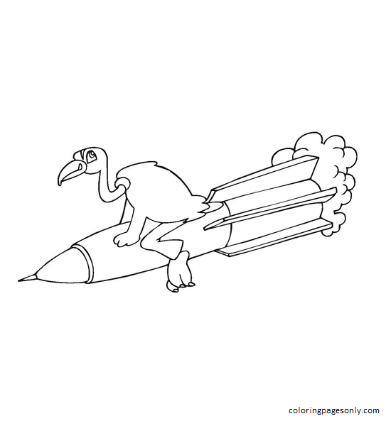 Bird Sitting On A Rocket Coloring Page