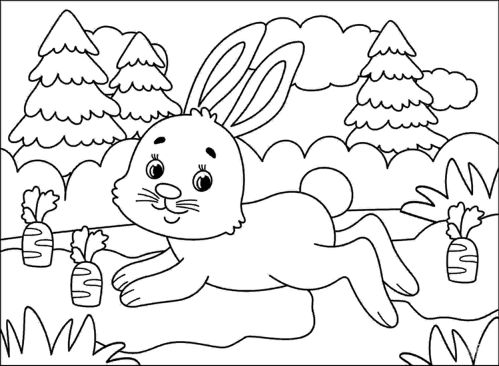 Conejito con muchas zanahorias en el bosque de Bunny