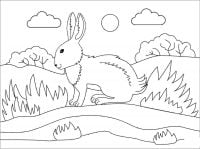 The rabbit is ruffled on the mountain Coloring Page