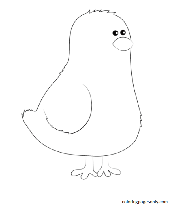 Cartoon Chick Coloring Page