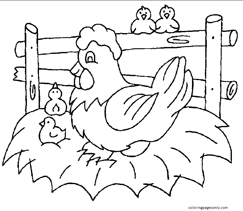 Chickens Coloring Pages