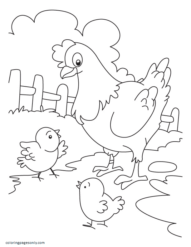Hühner vom Huhn
