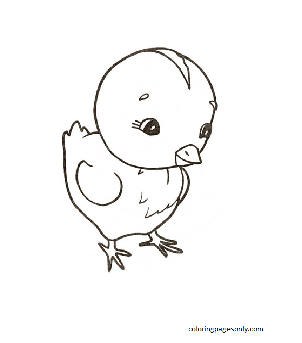 Chicken 7 Coloring Page