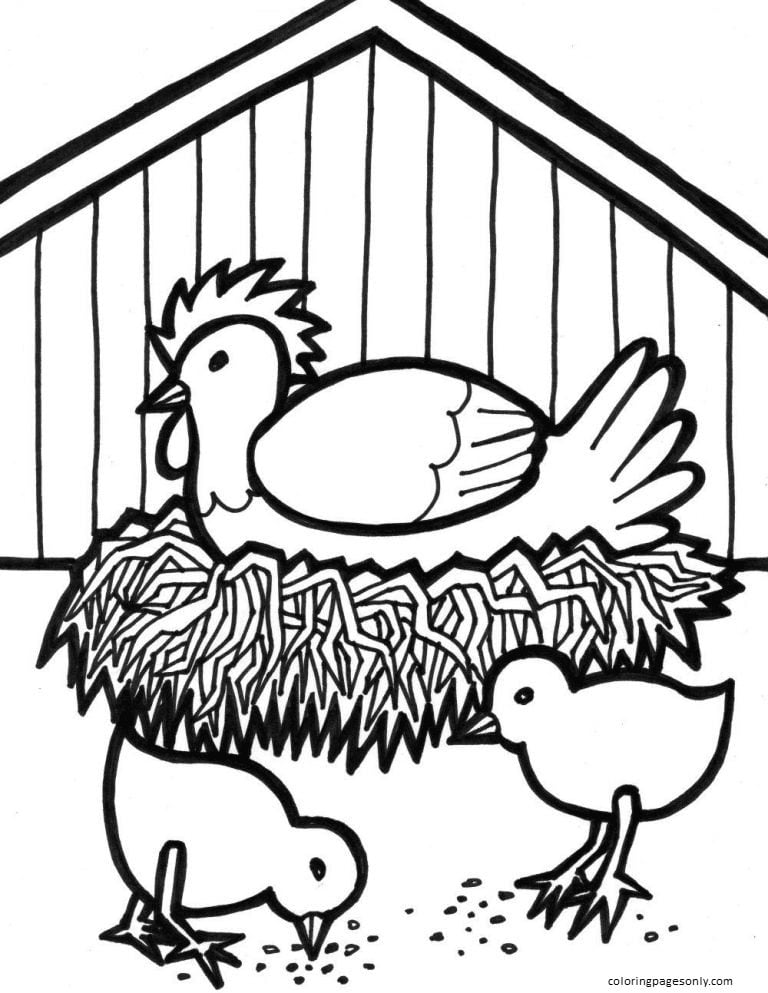 Chicken and Chicks Coloring Page