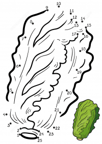 Chinese cabbage drawing dot-to-dots for kids Coloring Pages