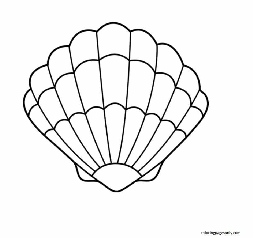Clam Shell Coloring Page