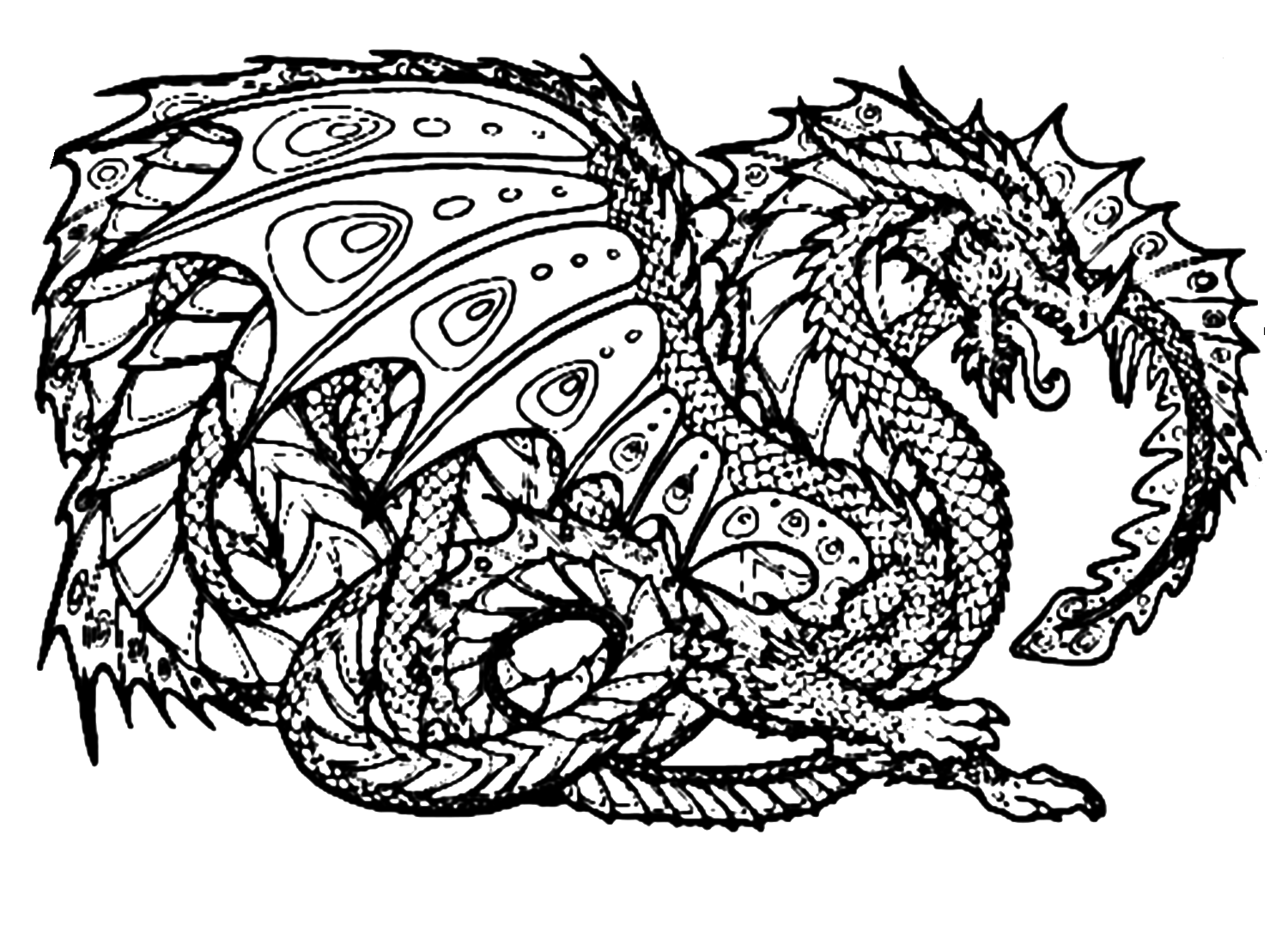 Dragon Coloring Pages - Coloring Pages For Kids And Adults