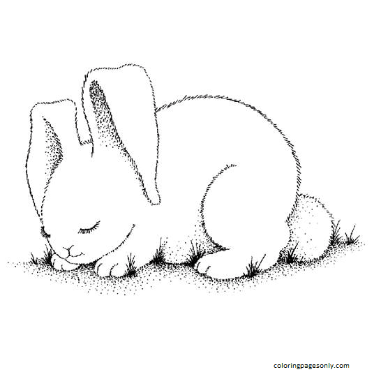 Simpatico coniglietto 1 da Bunny